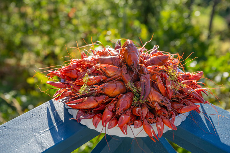 Kräftor på ett fat